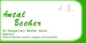 antal becher business card